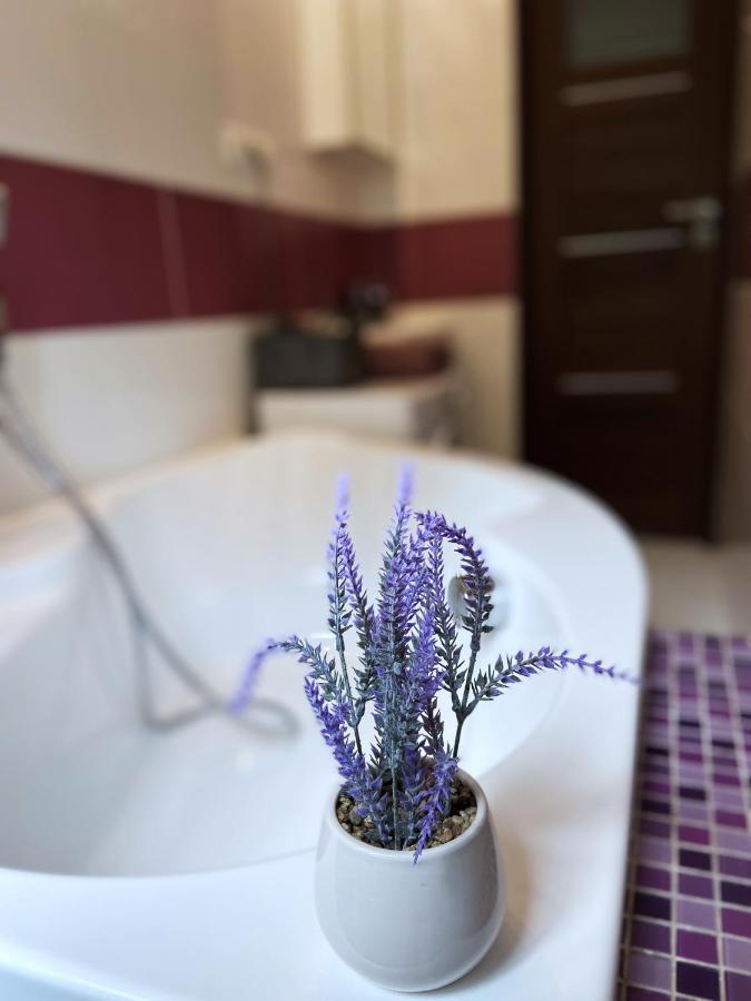 Comfort 2 65m2